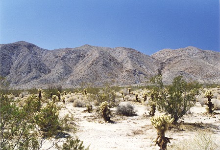 Anza Borego 02.jpg