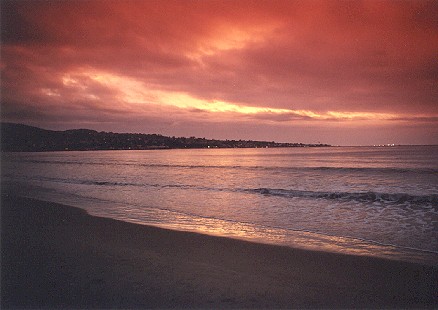 Monterey 02.jpg