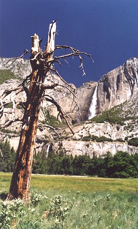 Yosemite Park Yosemite Fall.jpg