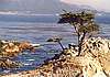 Monterey 04.jpg
