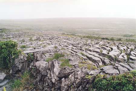 Burren.jpg