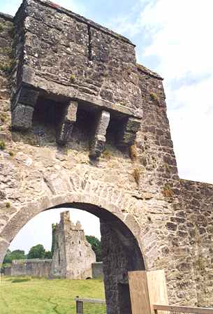 Kells Priory 04.jpg