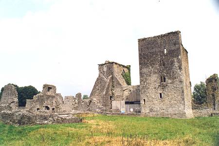 Kells Priory 05.jpg