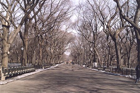Central Park 02.jpg