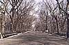 Central Park 02.jpg