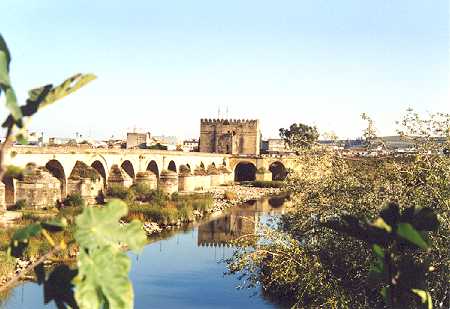 spain09.jpg