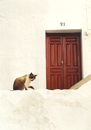 spain37.jpg