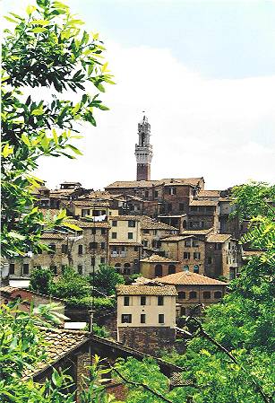 siena1.jpg