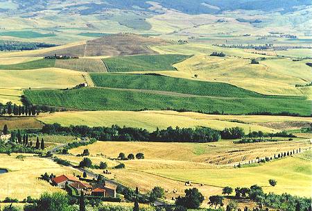 toskana7.jpg