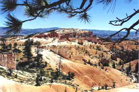 bryce12.jpg