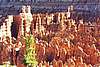 Bryce02.jpg
