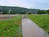Elbe0004.jpg