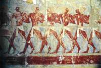 Expedtion in das Land Punt