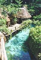 Xcaret