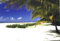 Barbados Beach