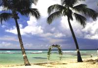 Barbados weddings