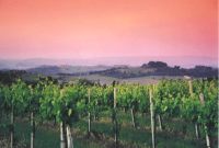 Chianti